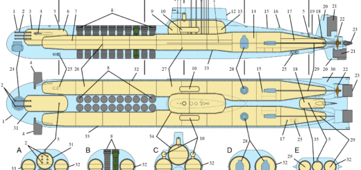 Schemat okrętu podwodnego typu TYPHOON. / Źródło: Mike1979 Russia
